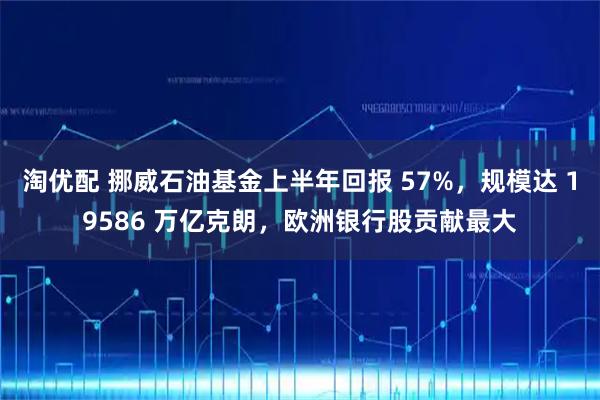 淘优配 挪威石油基金上半年回报 57%，规模达 19586 万亿克朗，欧洲银行股贡献最大