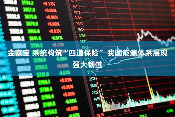 金富宝 系统构筑“四道保险” 我国能源体系展现强大韧性